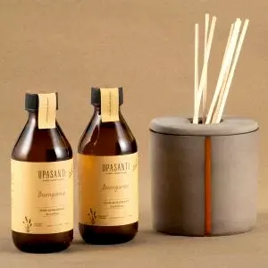 Buongiorno Oda Kokusu Large (Fantastico)