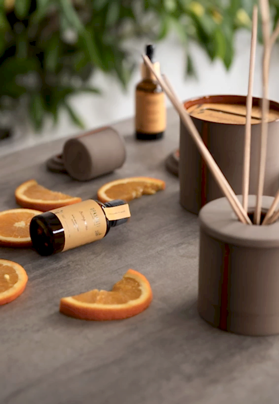 Buongiorno Oda Kokusu Small (Fantastico) - Görsel 2