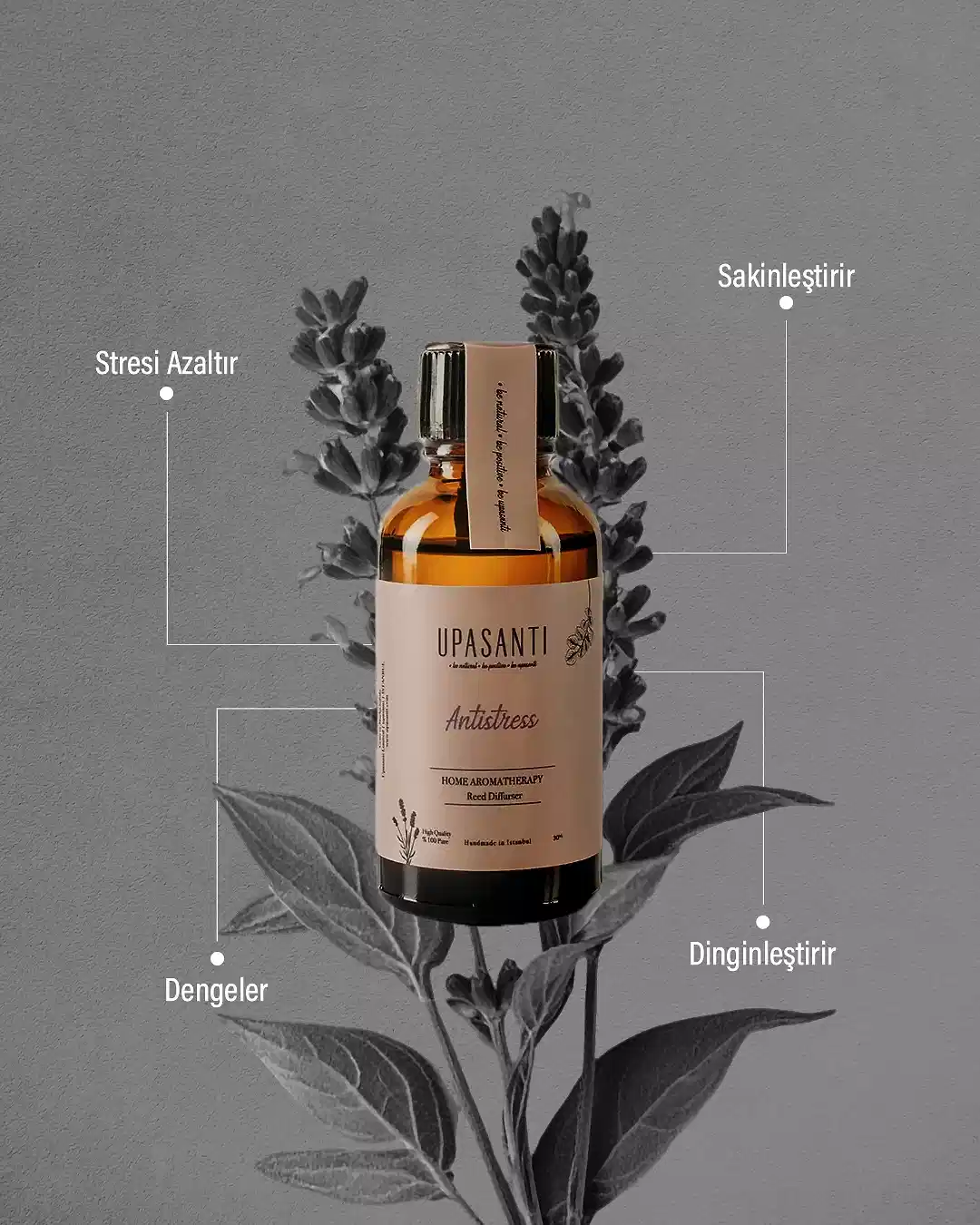 Antistress Oda Kokusu Small - Görsel 2